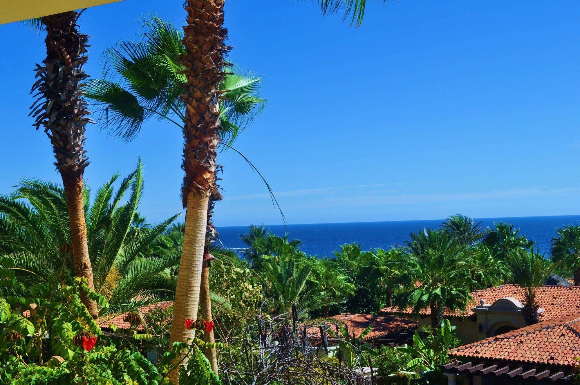 Villa Lucero Cabo San Lucas Extérieur photo